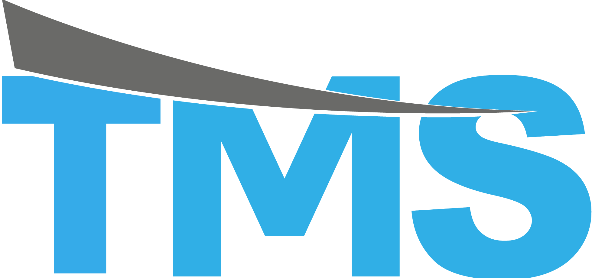 Transit Market Services